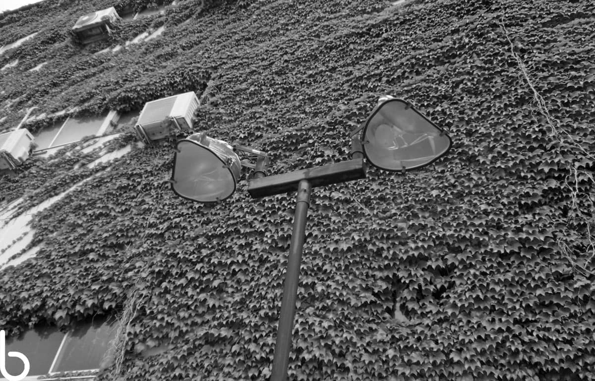 p004.jpg