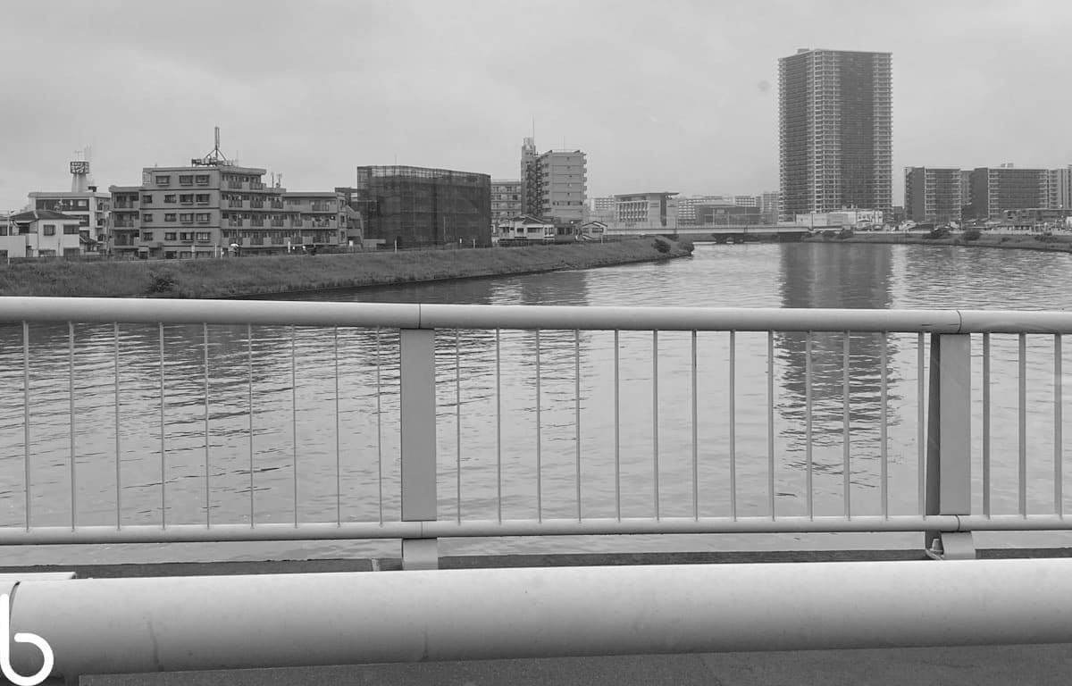 p013.jpg