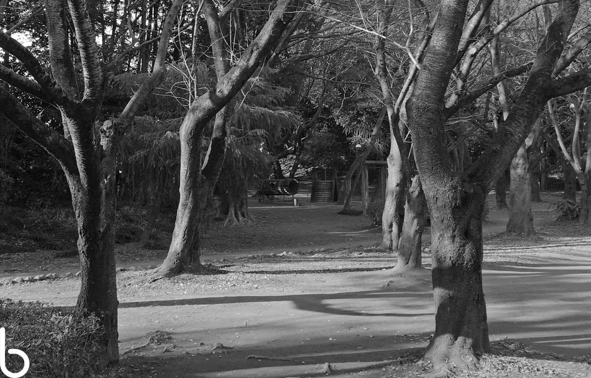 p018.jpg
