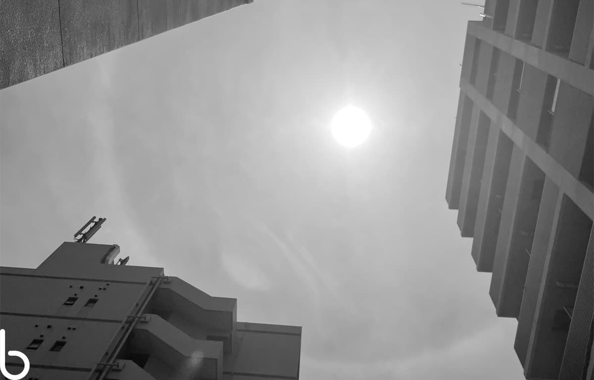 p021r.jpg